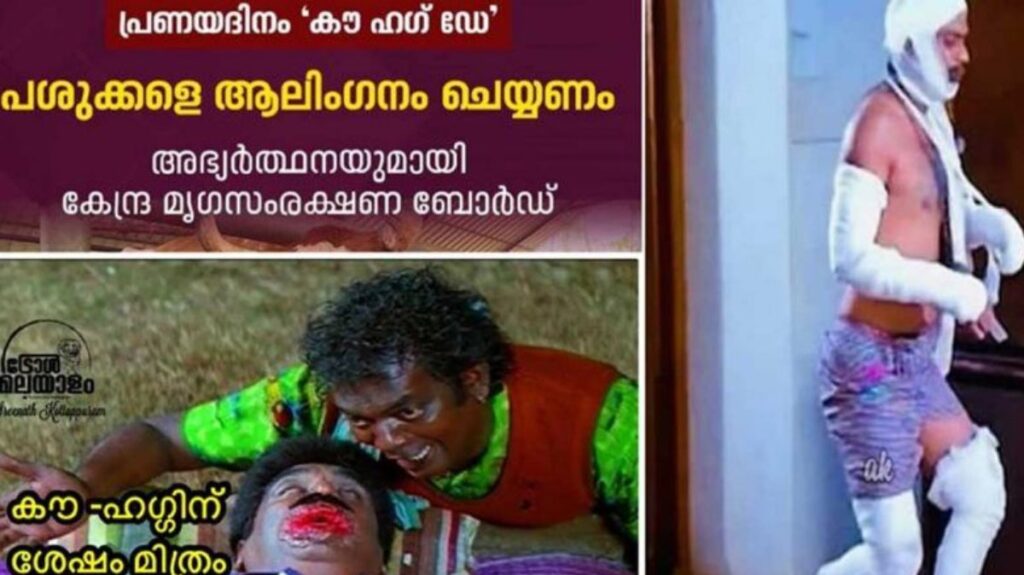 ഈ പ്രണയദിനം അവൾക്കൊപ്പം; പശു ആലിംഗന ദിനത്തെ ട്രോളി സോഷ്യൽ മീഡിയ